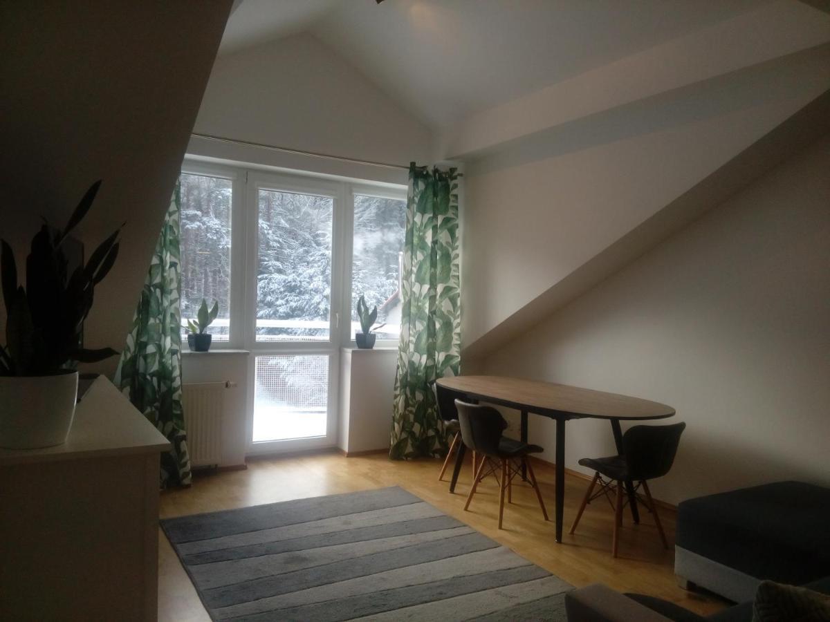 Lesny Loft Leilighet Gdynia Eksteriør bilde
